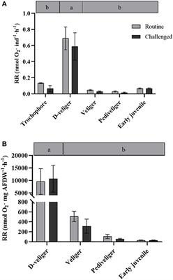 Metabolic Cost of the Immune Response During Early Ontogeny of the Scallop Argopecten purpuratus